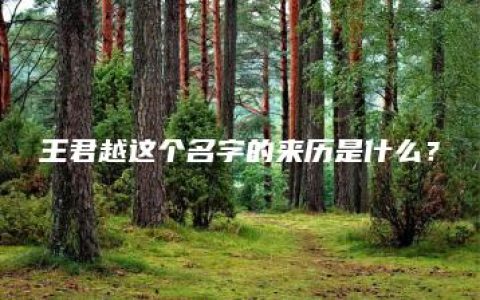 王君越这个名字的来历是什么？