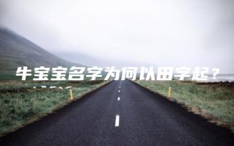 牛宝宝名字为何以田字起？