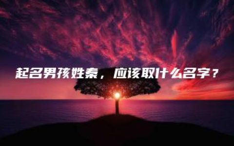 起名男孩姓秦，应该取什么名字？