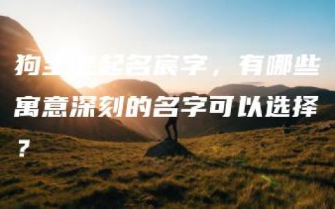 狗宝宝起名宸字，有哪些寓意深刻的名字可以选择？