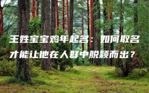 王姓宝宝鸡年起名：如何取名才能让他在人群中脱颖而出？