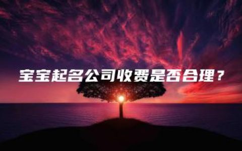 宝宝起名公司收费是否合理？