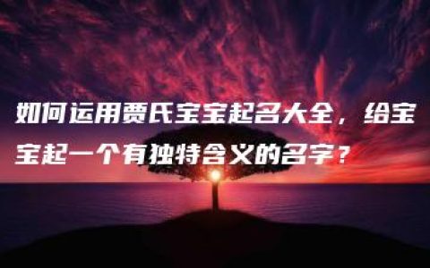 如何运用贾氏宝宝起名大全，给宝宝起一个有独特含义的名字？