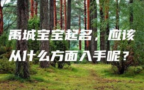 禹城宝宝起名，应该从什么方面入手呢？