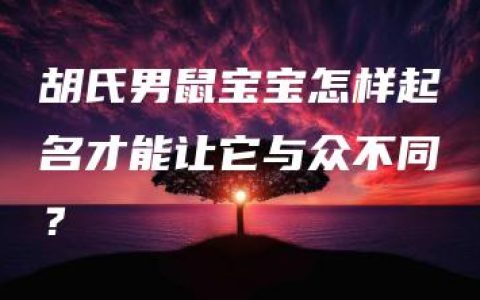 胡氏男鼠宝宝怎样起名才能让它与众不同？