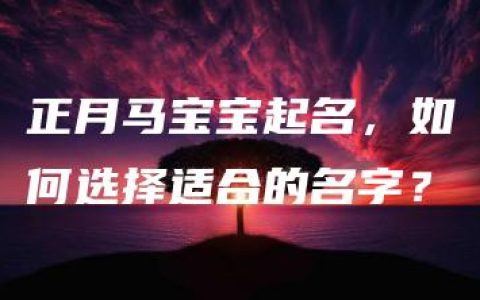 正月马宝宝起名，如何选择适合的名字？