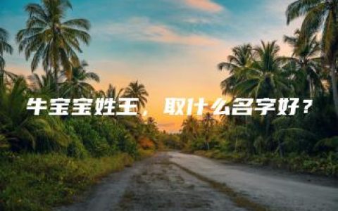 牛宝宝姓王，取什么名字好？