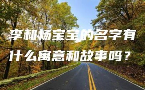 李和杨宝宝的名字有什么寓意和故事吗？