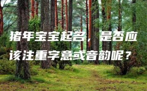 猪年宝宝起名，是否应该注重字意或音韵呢？