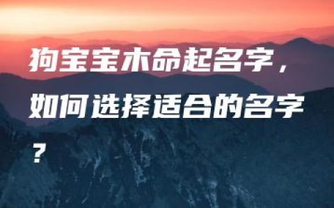 狗宝宝木命起名字，如何选择适合的名字？