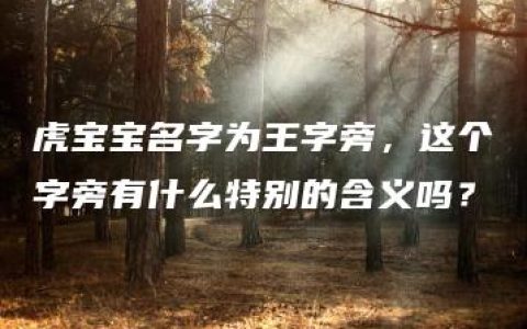 虎宝宝名字为王字旁，这个字旁有什么特别的含义吗？