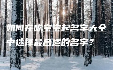 如何在陈宝宝起名字大全中选择最合适的名字？