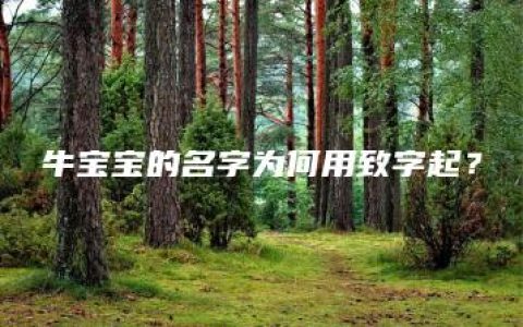 牛宝宝的名字为何用致字起？