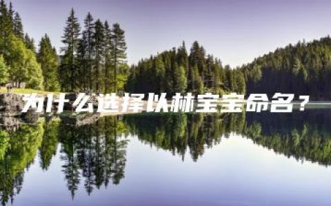 为什么选择以林宝宝命名？