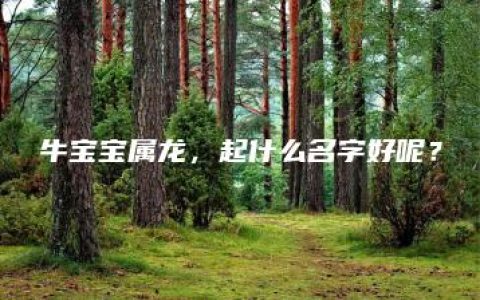 牛宝宝属龙，起什么名字好呢？