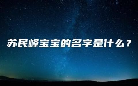 苏民峰宝宝的名字是什么？