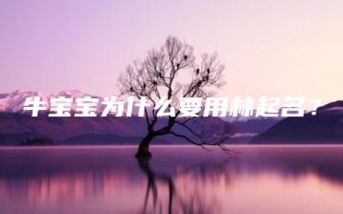 牛宝宝为什么要用林起名？