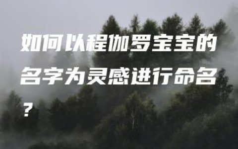 如何以程伽罗宝宝的名字为灵感进行命名？