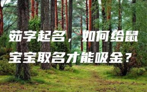 茹字起名，如何给鼠宝宝取名才能吸金？