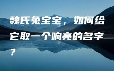 魏氏兔宝宝，如何给它取一个响亮的名字？