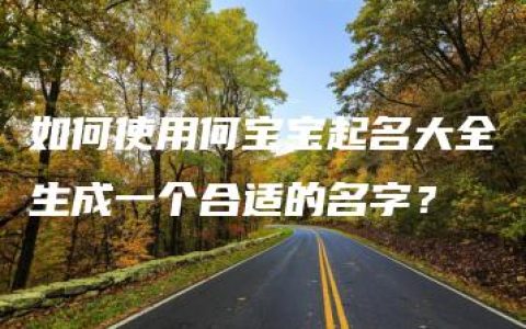 如何使用何宝宝起名大全生成一个合适的名字？