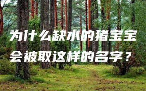 为什么缺水的猪宝宝会被取这样的名字？