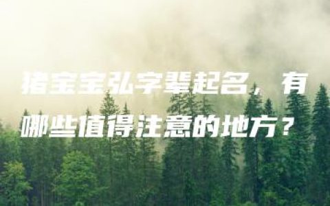 猪宝宝弘字辈起名，有哪些值得注意的地方？