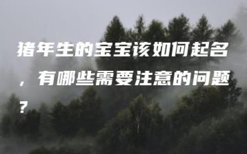 猪年生的宝宝该如何起名，有哪些需要注意的问题？