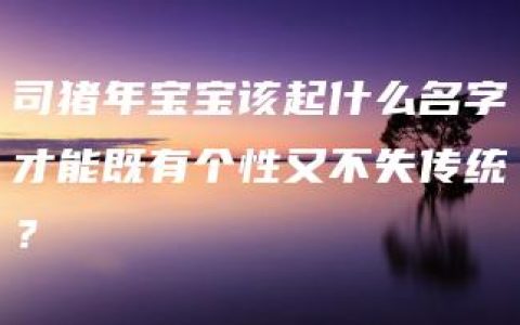 司猪年宝宝该起什么名字才能既有个性又不失传统？