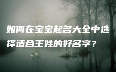 如何在宝宝起名大全中选择适合王姓的好名字？