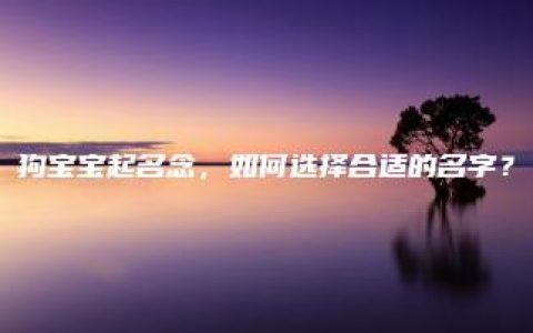 狗宝宝起名念，如何选择合适的名字？