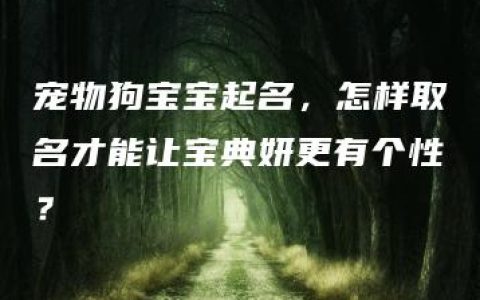 宠物狗宝宝起名，怎样取名才能让宝典妍更有个性？