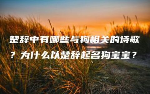 楚辞中有哪些与狗相关的诗歌？为什么以楚辞起名狗宝宝？