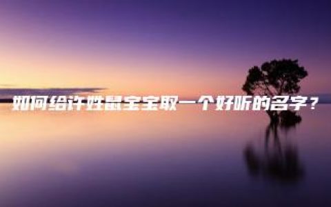 如何给许姓鼠宝宝取一个好听的名字？