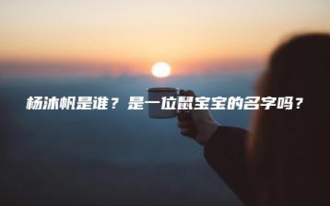 杨沐帆是谁？是一位鼠宝宝的名字吗？