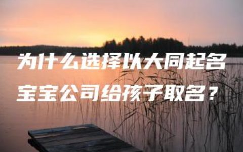 为什么选择以大同起名宝宝公司给孩子取名？