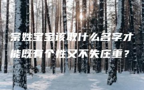 宗姓宝宝该取什么名字才能既有个性又不失庄重？