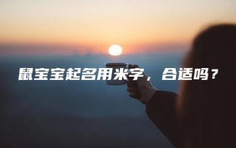 鼠宝宝起名用米字，合适吗？