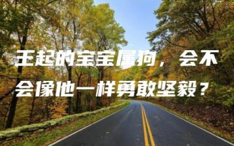 王起的宝宝属狗，会不会像他一样勇敢坚毅？