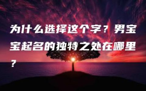 为什么选择这个字？男宝宝起名的独特之处在哪里？