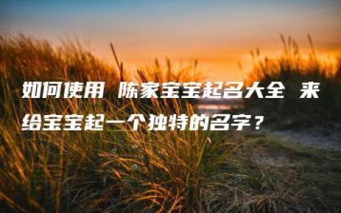 如何使用 陈家宝宝起名大全 来给宝宝起一个独特的名字？