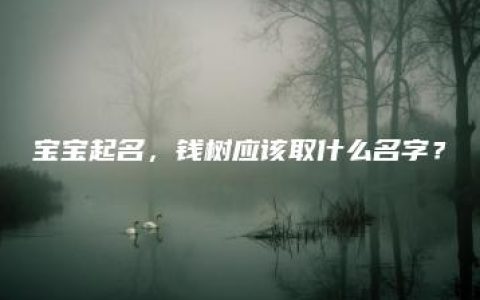 宝宝起名，钱树应该取什么名字？