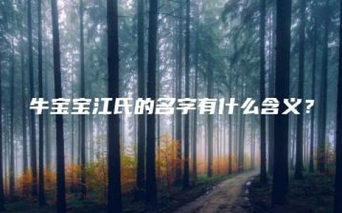 牛宝宝江氏的名字有什么含义？