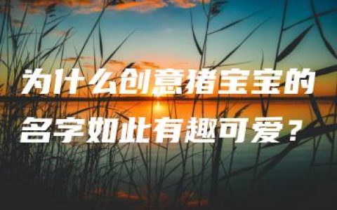 为什么创意猪宝宝的名字如此有趣可爱？