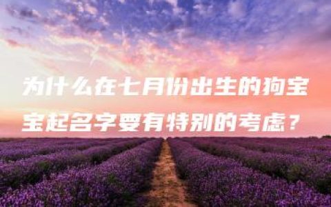 为什么在七月份出生的狗宝宝起名字要有特别的考虑？