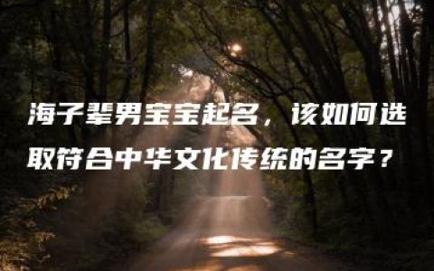 海子辈男宝宝起名，该如何选取符合中华文化传统的名字？