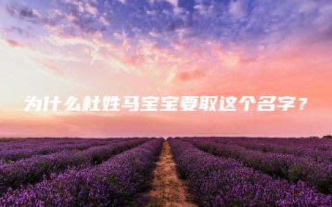 为什么杜姓马宝宝要取这个名字？