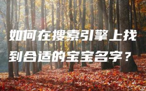 如何在搜索引擎上找到合适的宝宝名字？