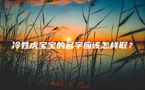 冷姓虎宝宝的名字应该怎样取？