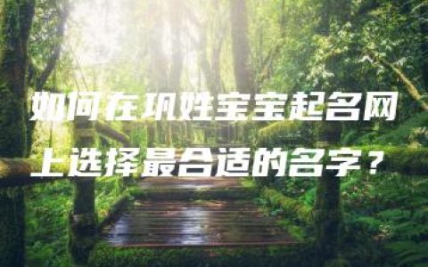 如何在巩姓宝宝起名网上选择最合适的名字？